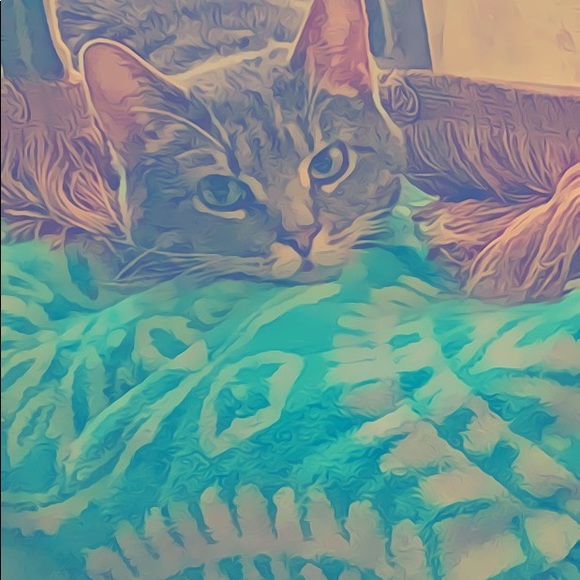 Meet your Posher, Melanie - Picture 7 of 15